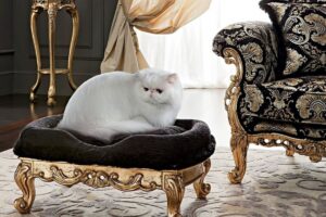 Comfort Kedi ve Köpek Pufu