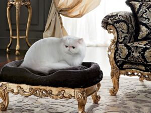 Comfort Kedi ve Köpek Pufu