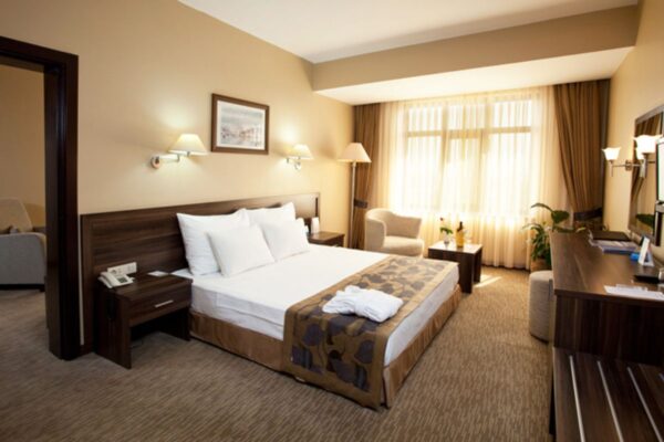 Delhi Otel Odası