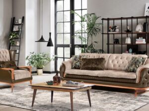 Aroda Modern Koltuk Takımı