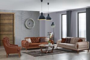 Petra Modern Koltuk Takımı