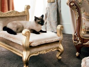 Pretty Kedi ve Köpek Pufu